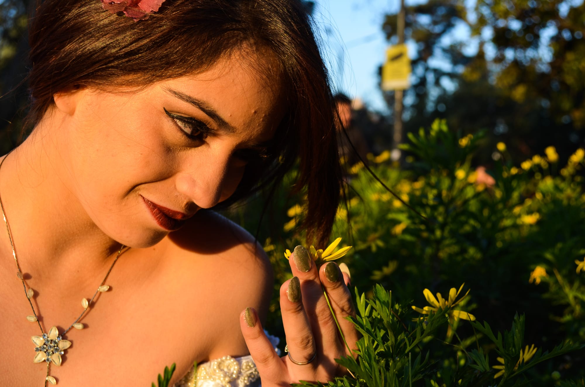 Book - Bodas