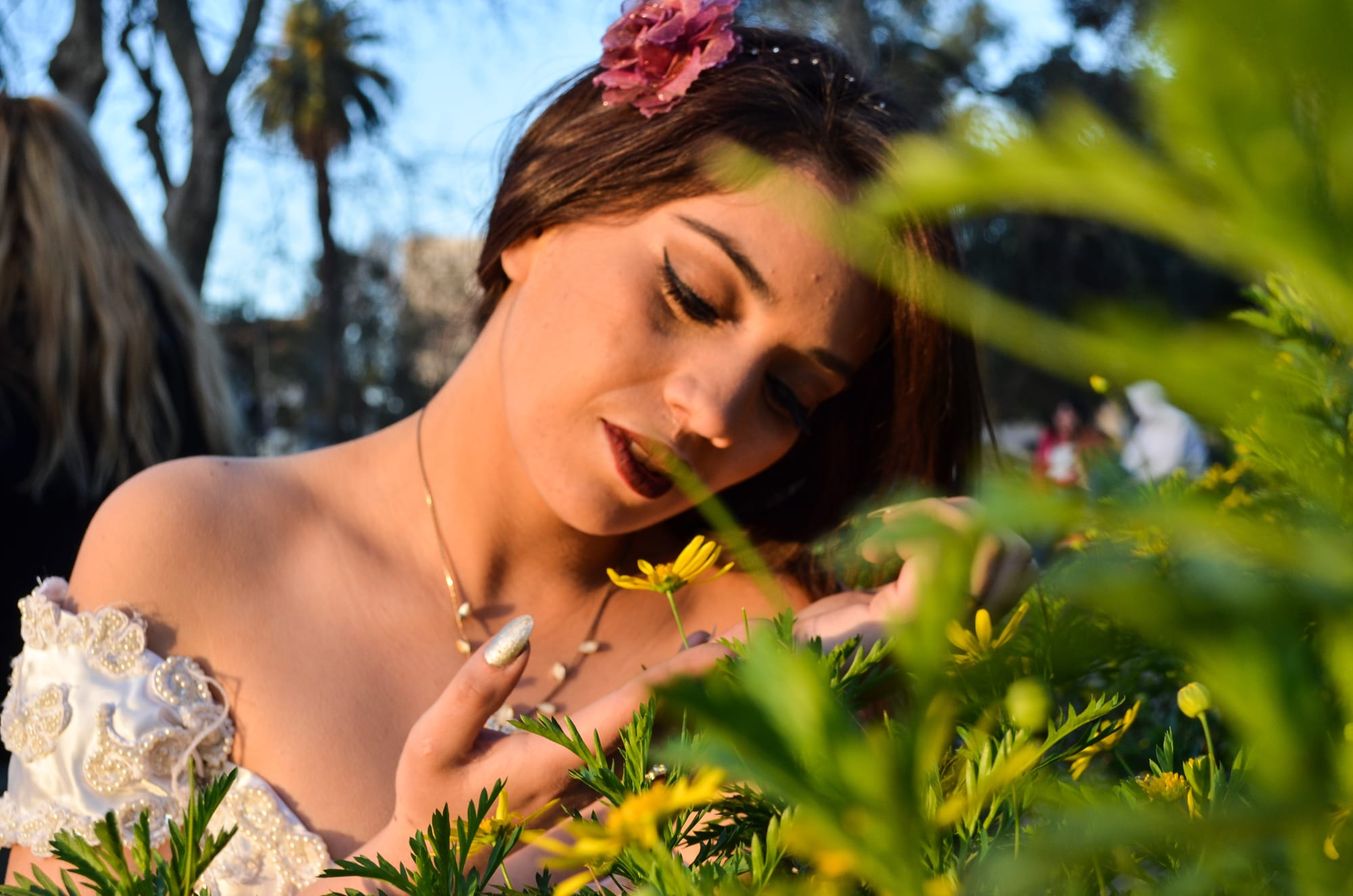 Book - Bodas