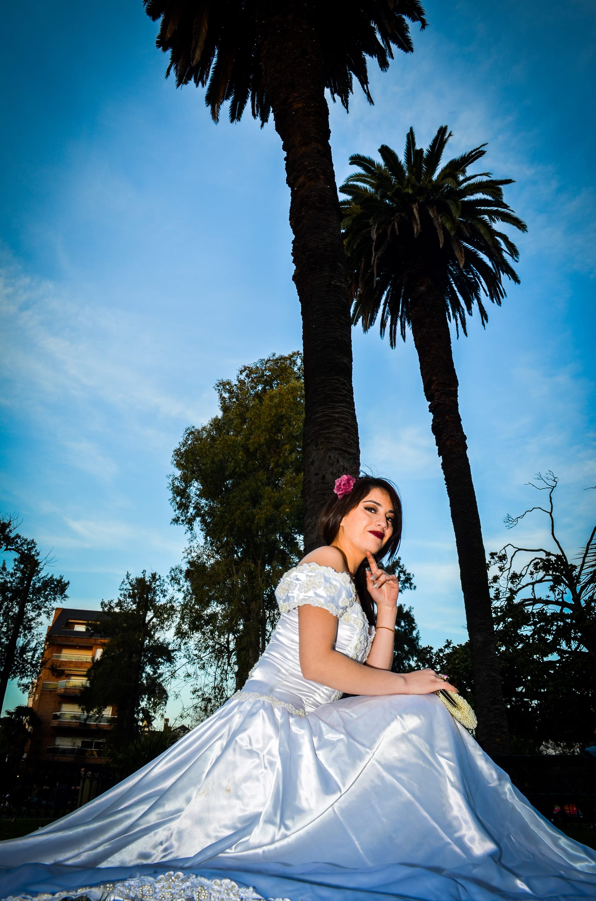 Book - Bodas