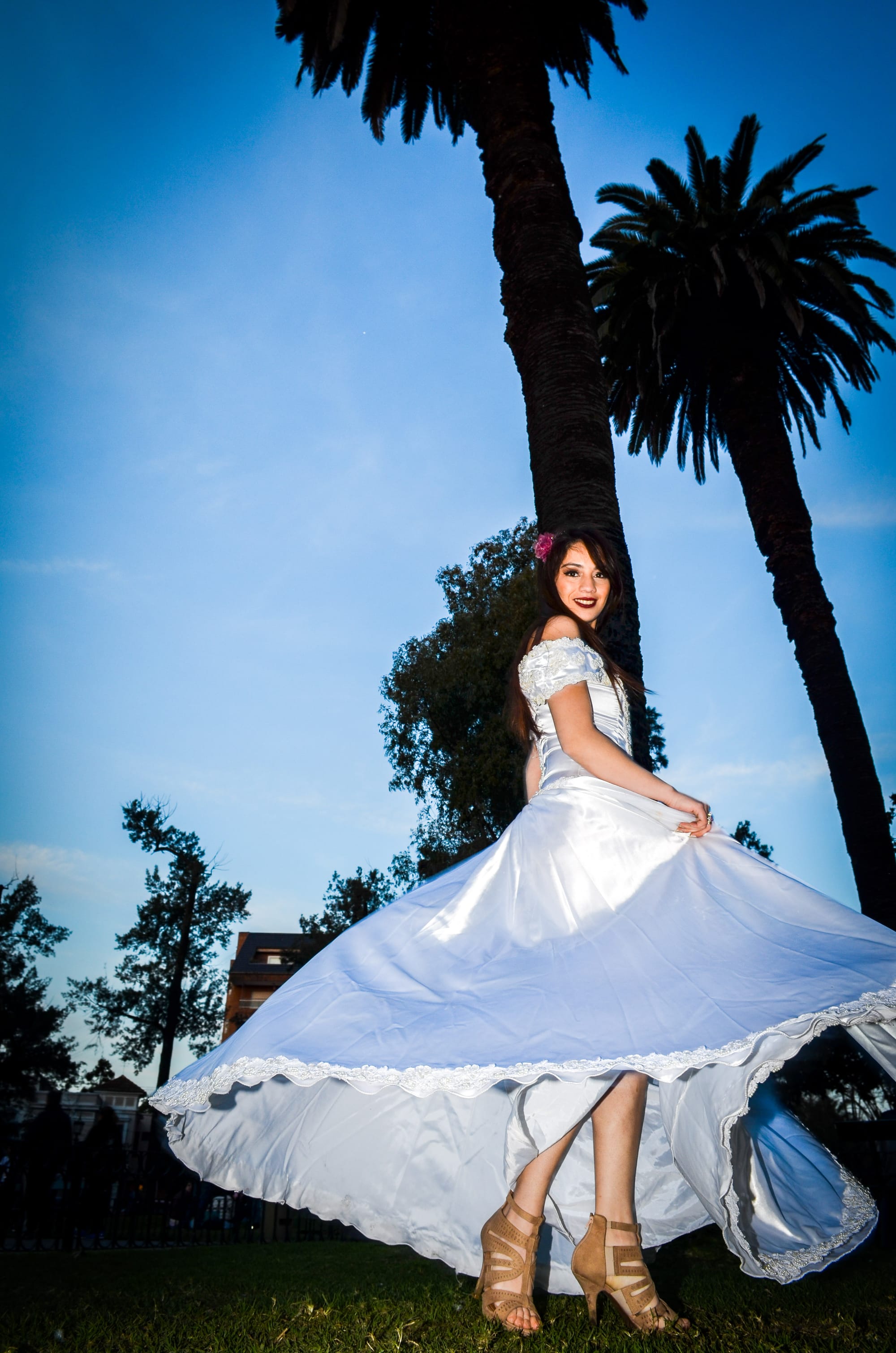 Book - Bodas
