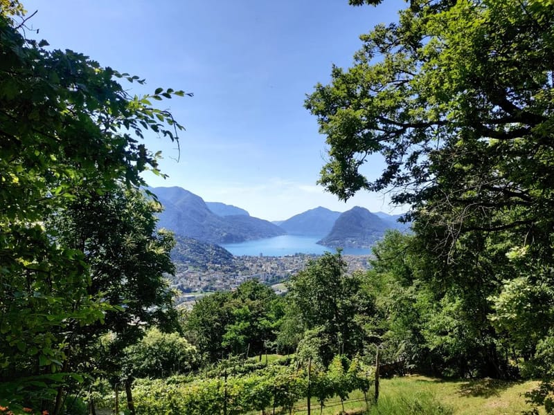 Collina di san Bernardo