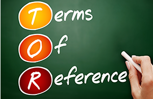 Term of Reference