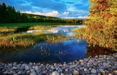Nearly $1.2 million allocated to UQAT by the Natural Sciences and Engineering Research Council of Canada.