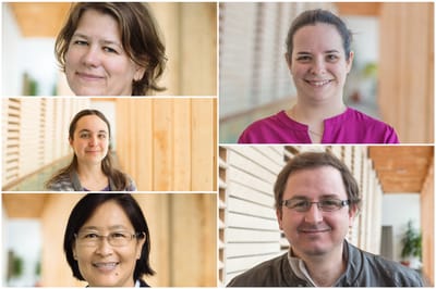 Sustainable Development in the Mining Sector: Five UQAT Faculty Members to Advance Knowledge through Grants from the Fonds de recherche du Québec.