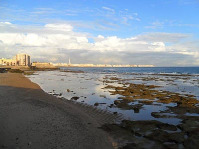 Andalucia's 3 Cs - Cadiz, Cordoba and La Ciudad Sonada