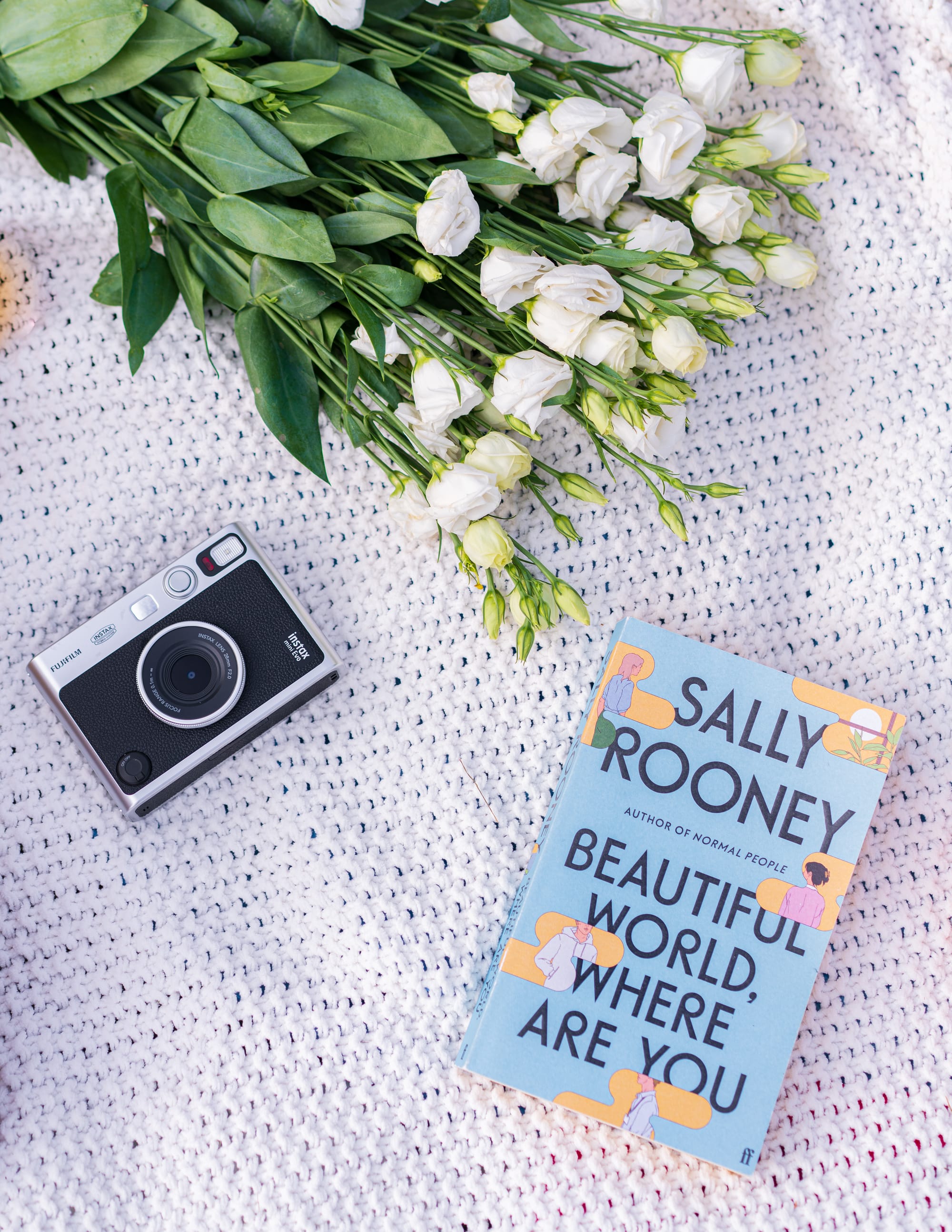 Photo picnic with a view of the castle