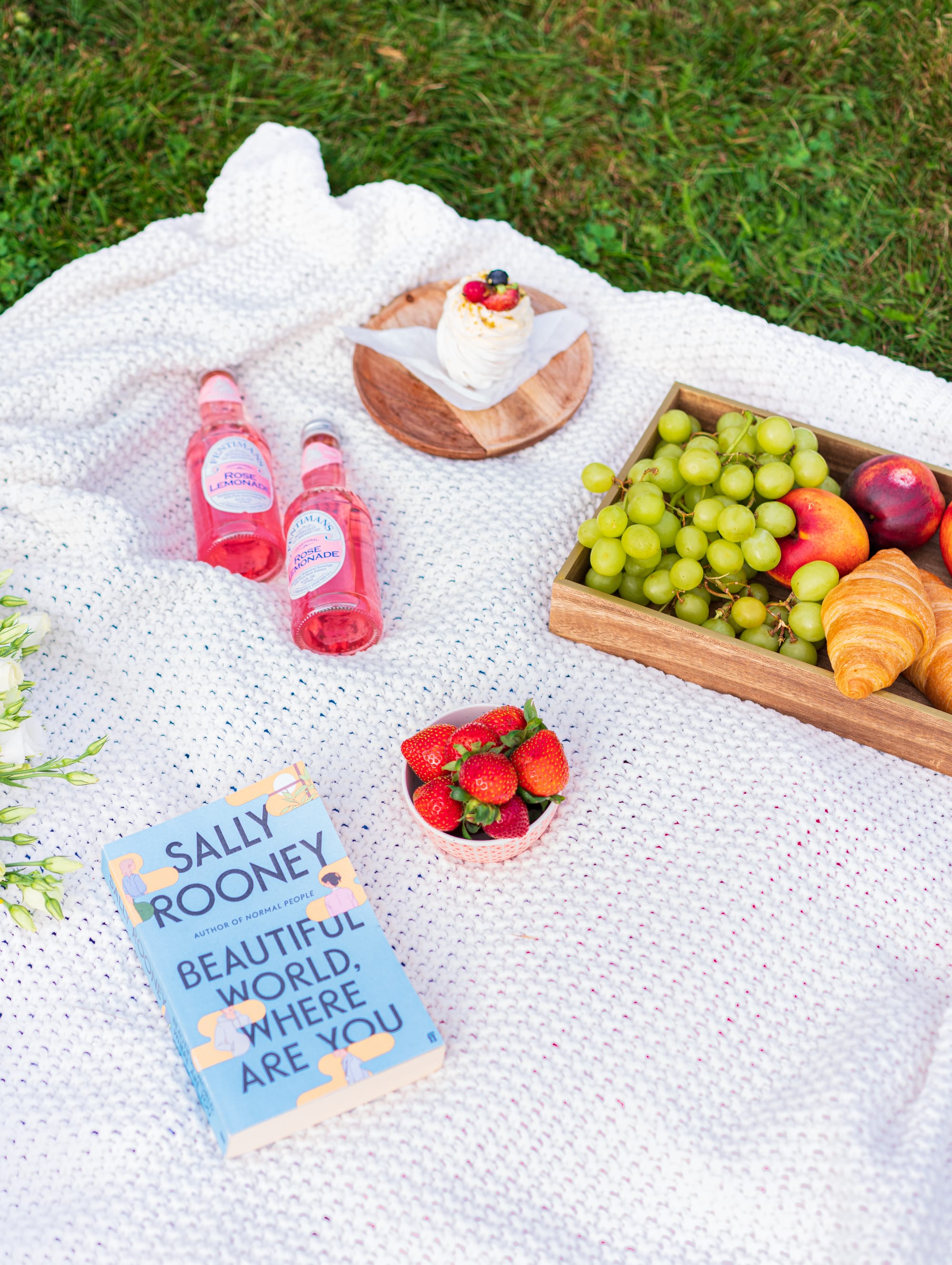Photo picnic with a view of the castle