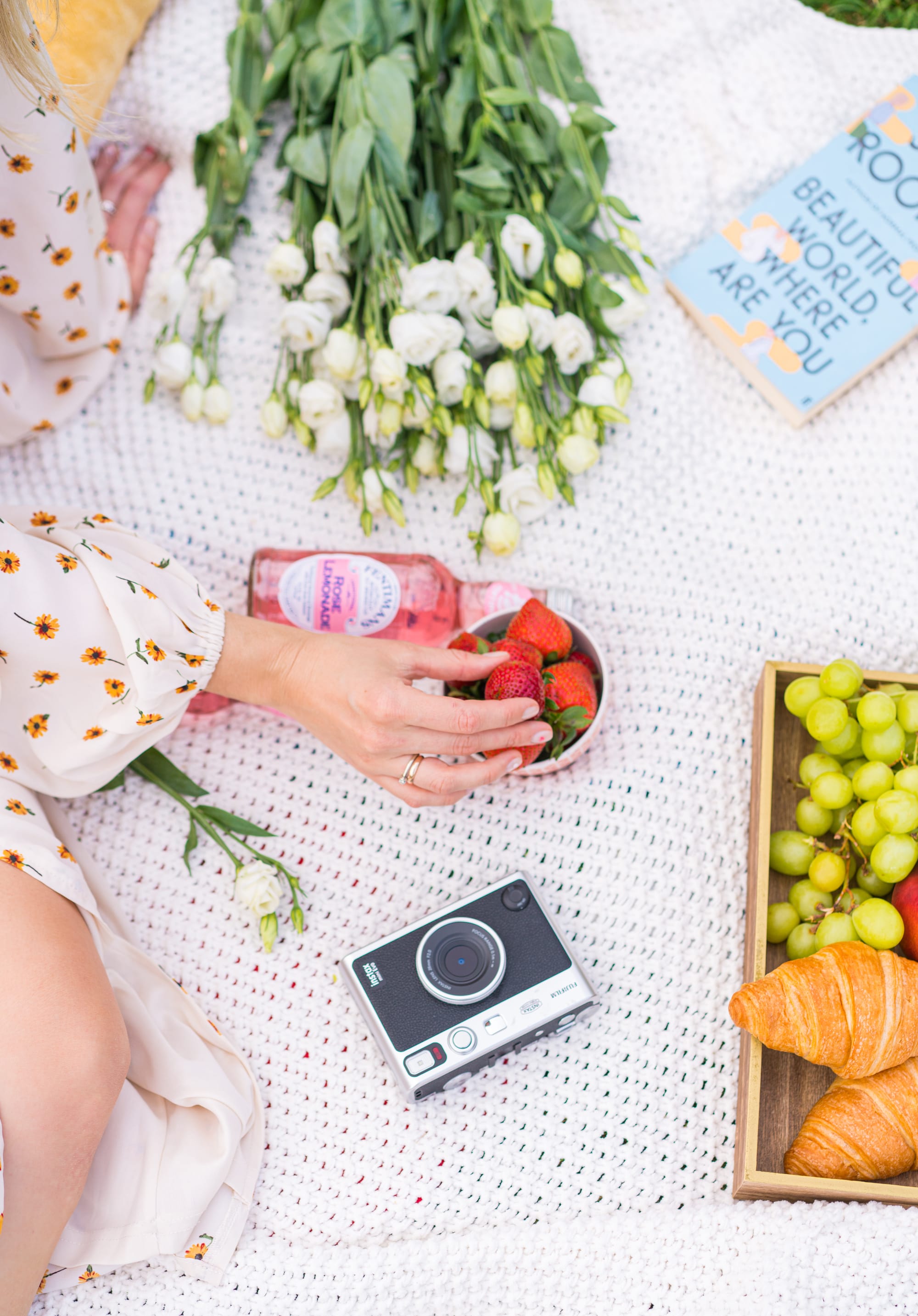 Photo picnic with a view of the castle