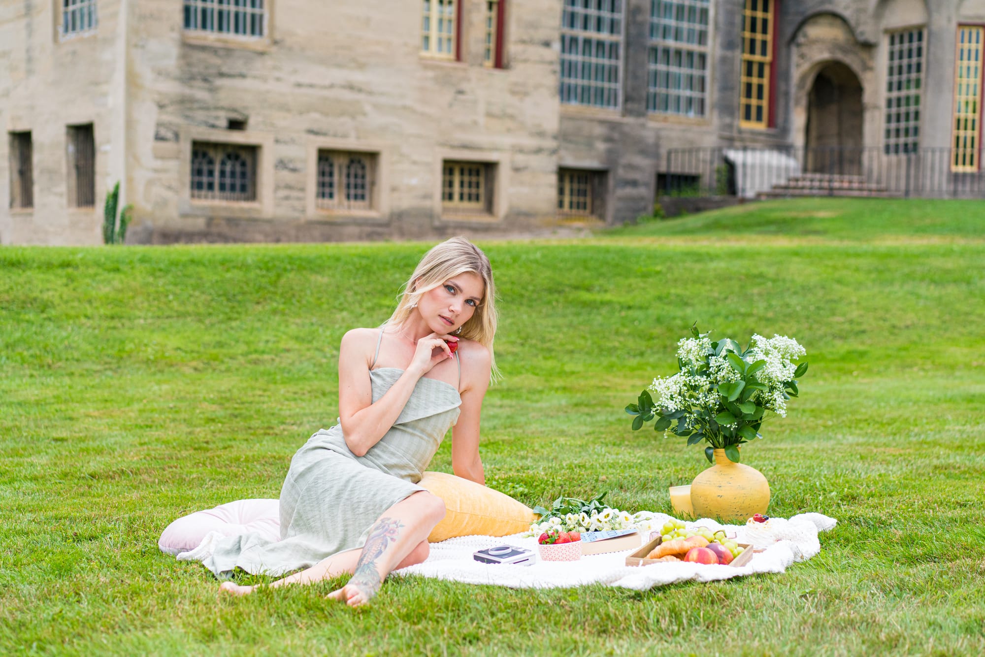 Photo picnic with a view of the castle