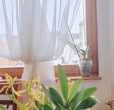 A függöny két oldalán