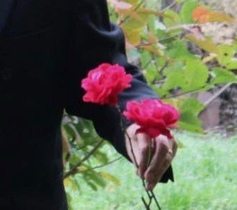 Virágai nélkül...