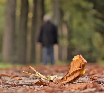 Felbecsülhetetlen értékű örökség