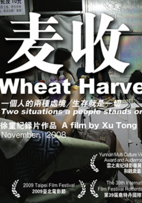 《麥收》(2008)