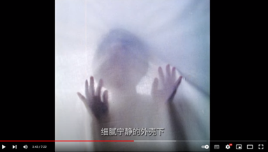 【川內倫子】靜謐宇宙中的細微回響