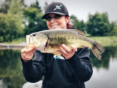 Mon poisson favori