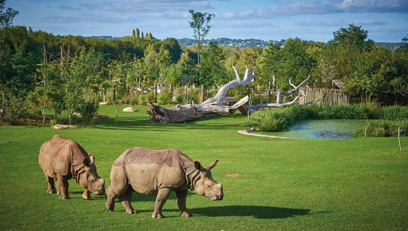 Zoo de la flèche