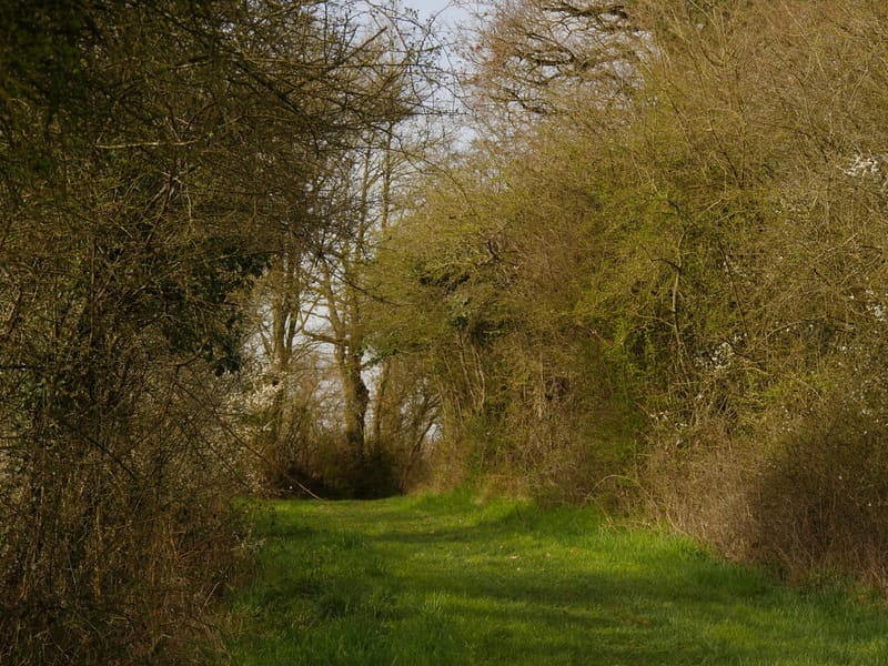 Circuit de randonnée