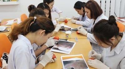 Tim hieu nghe spa