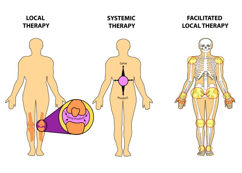 Medical Illustrations