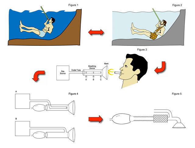 Medical Illustrations