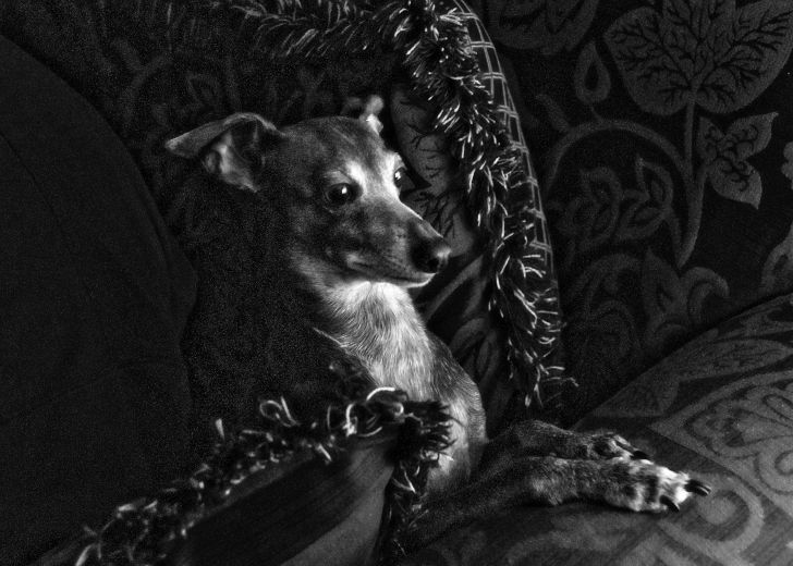 Portraits & Fashion Photography