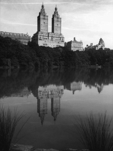 Fine Art Photography