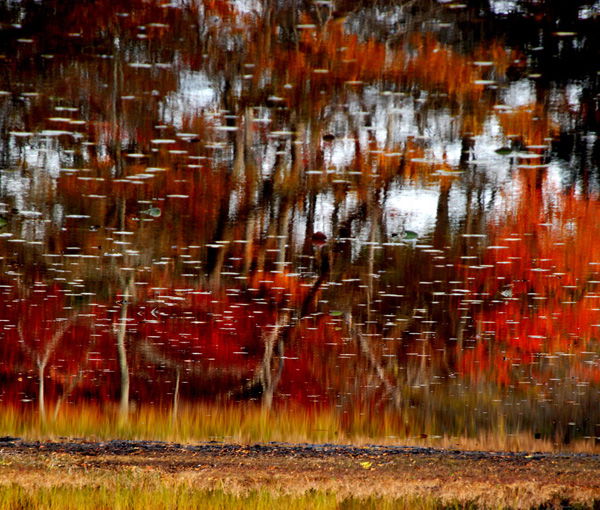 Fine Art Photography