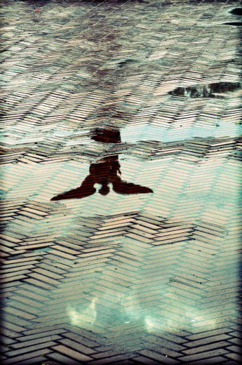 Fine Art Photography