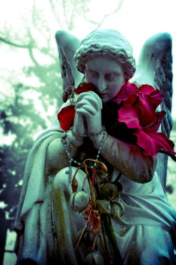 Fine Art Photography