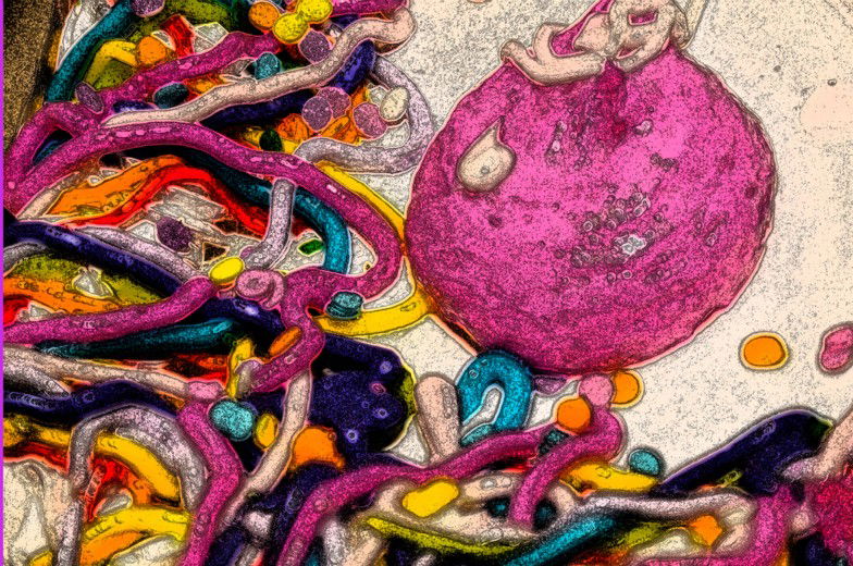 Fine Art Photography