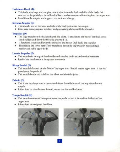 Brochures/BookDesign