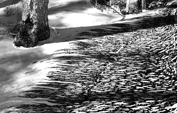 Fine Art Photography