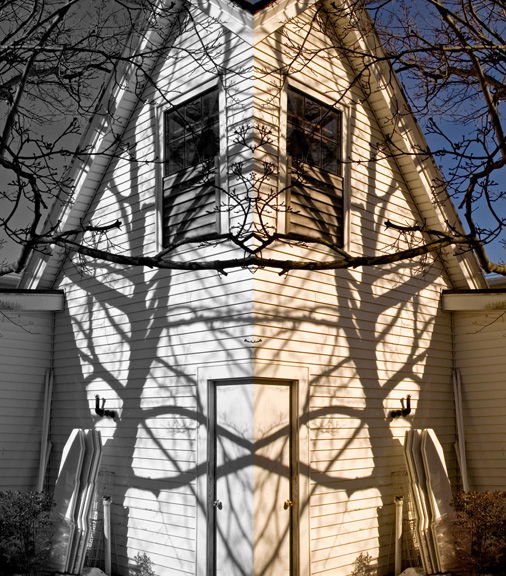 Fine Art Photography