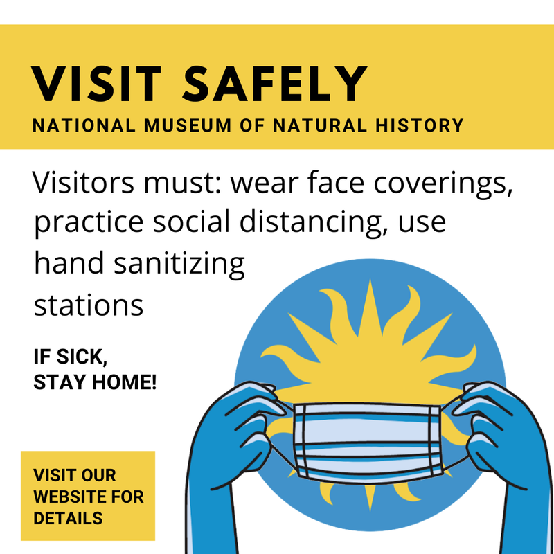 Smithsonian National Museum of Natural History Team Consulting Project