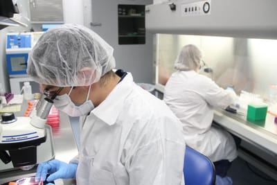 Virus Bank Characterization-Things You Need To Learn About image