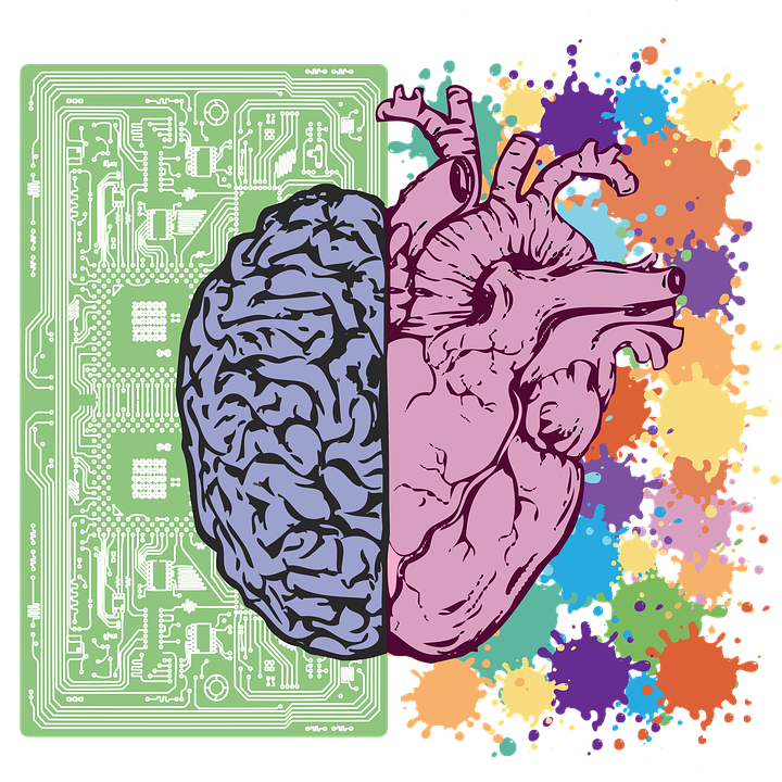 Brain Or Heart