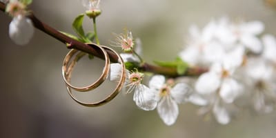 Kanzlei D. FONTANARI image