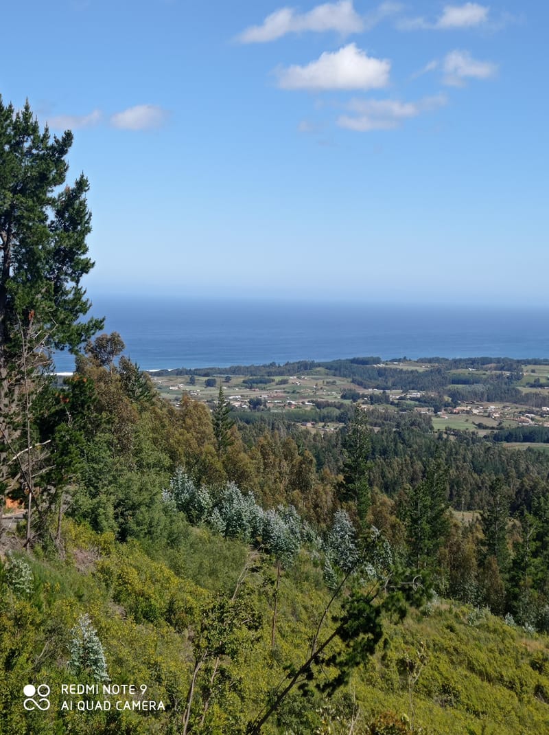 ASESORIA INMOBILIARIA