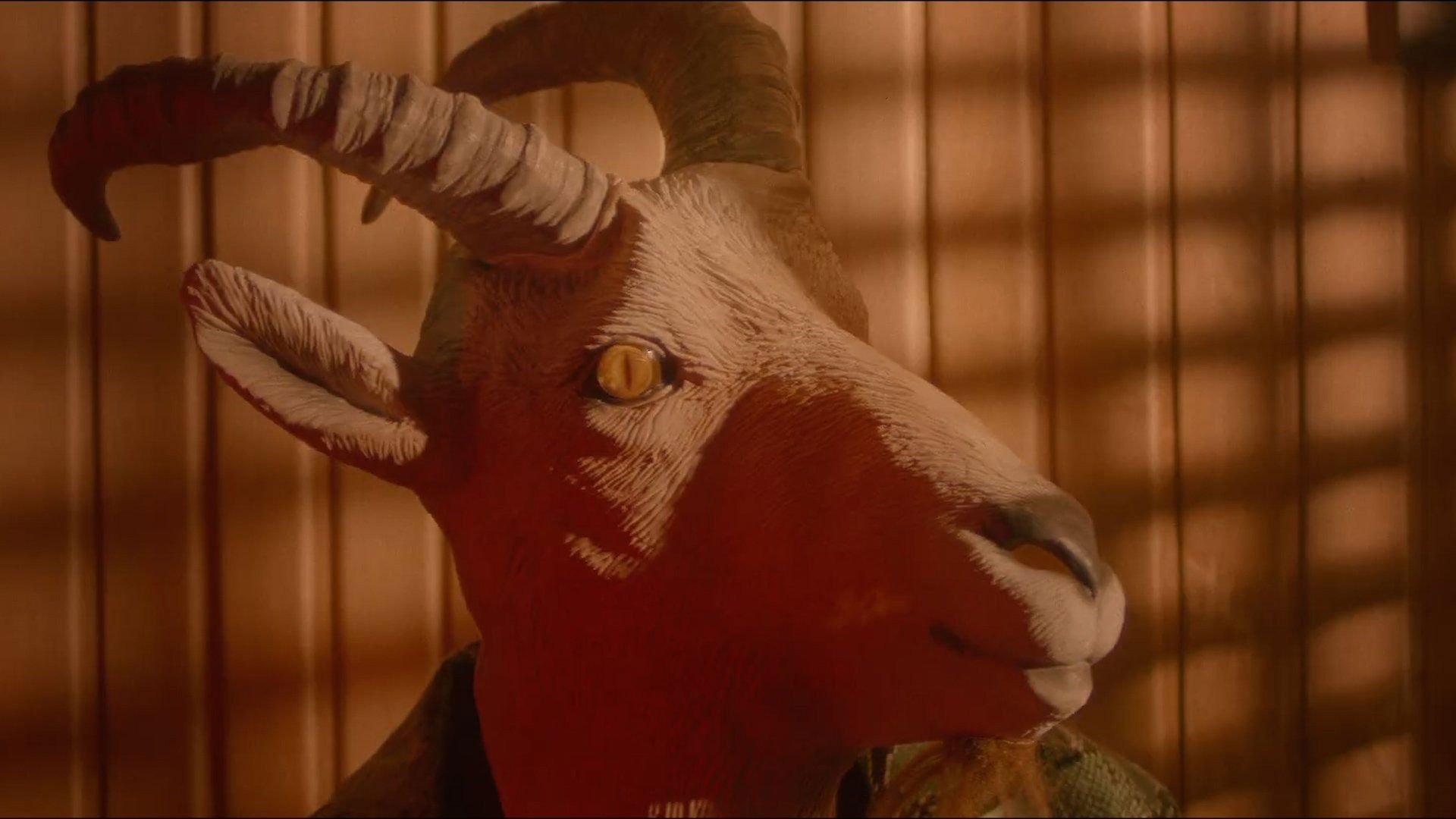 Confirmed  - Darkovibes ft Kwesi Arthur & JoeyB