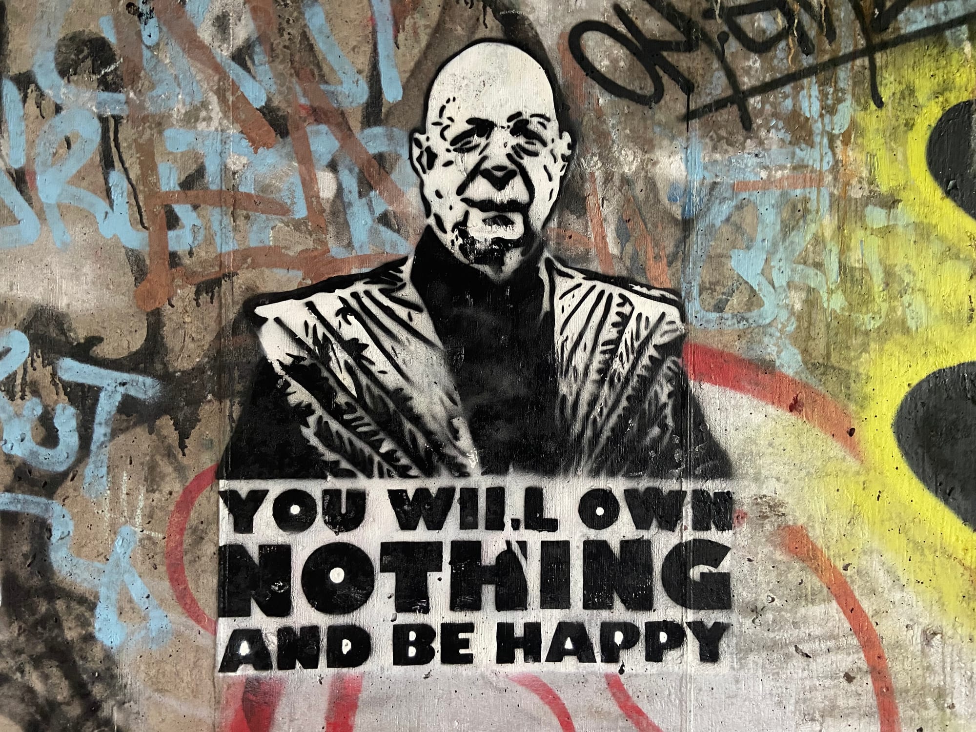 YOU WILL OWN NOTHING AND BE HAPPY