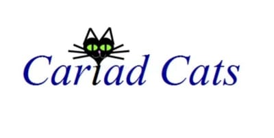Cariad Cats