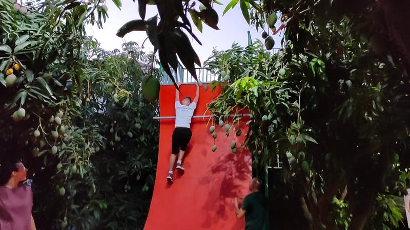 אימוני נינג'ה לילדים נוער ובוגרים