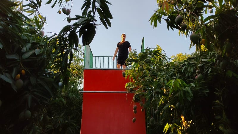 אימוני נינג'ה לילדים נוער ובוגרים