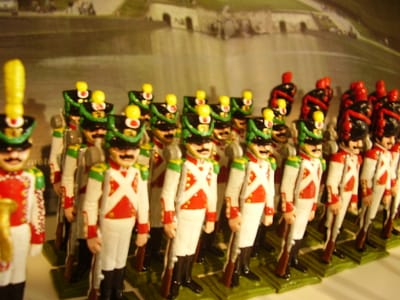 Periodo napoleonico image