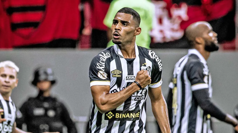 Santos vira sobre Flamengo e se distancia da zona da degola