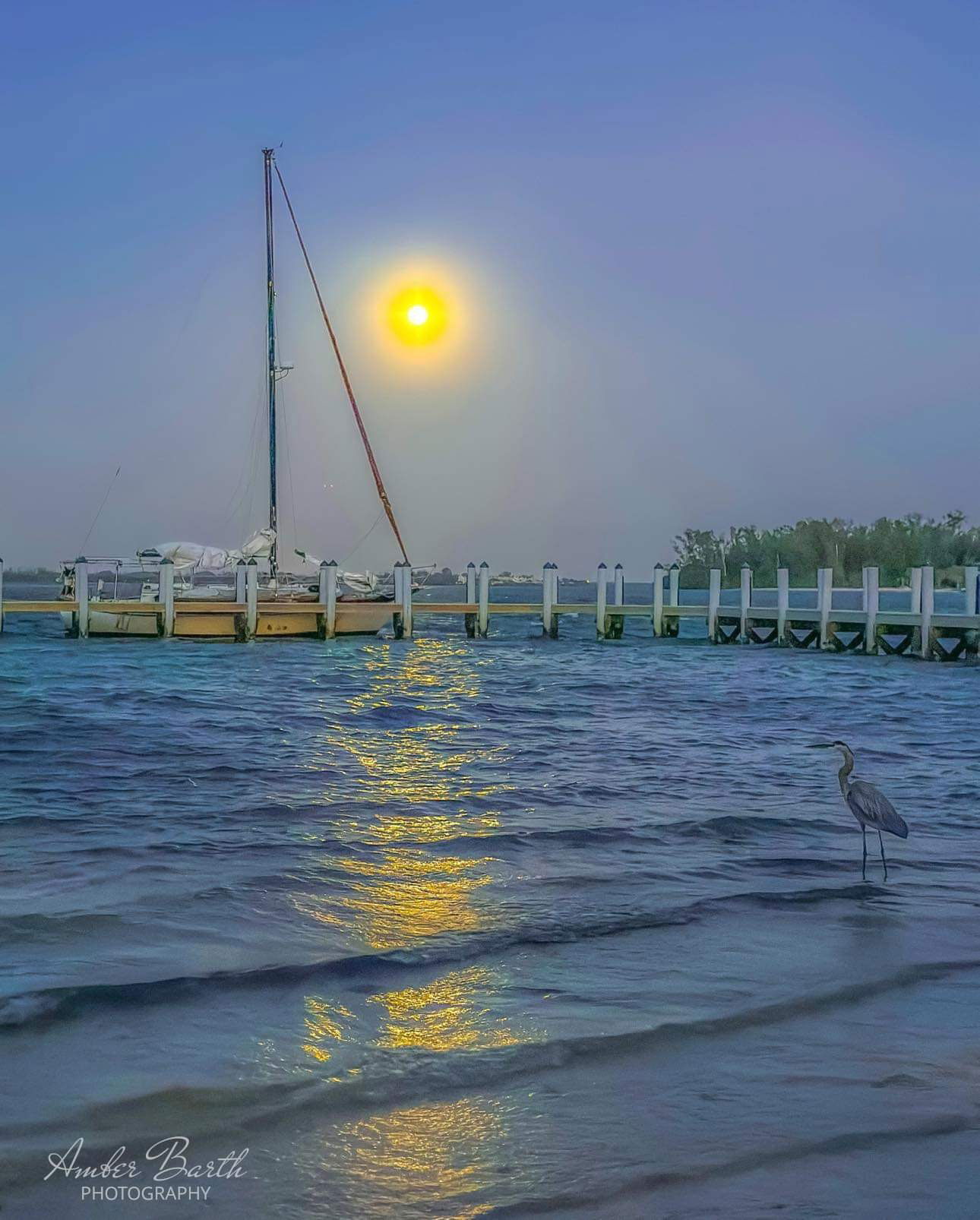 Starry Night on the Bay