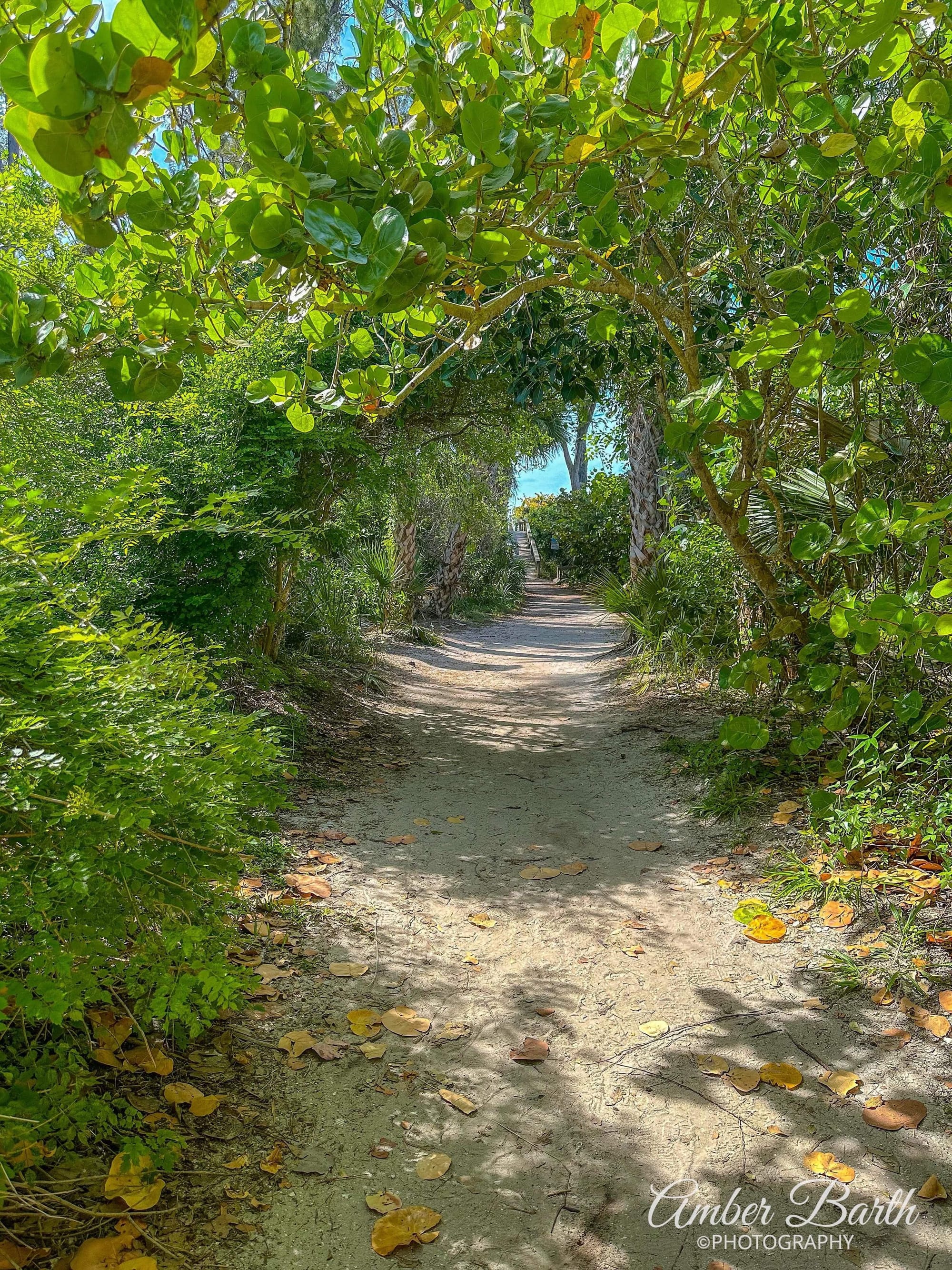 Pathway to Bean Point