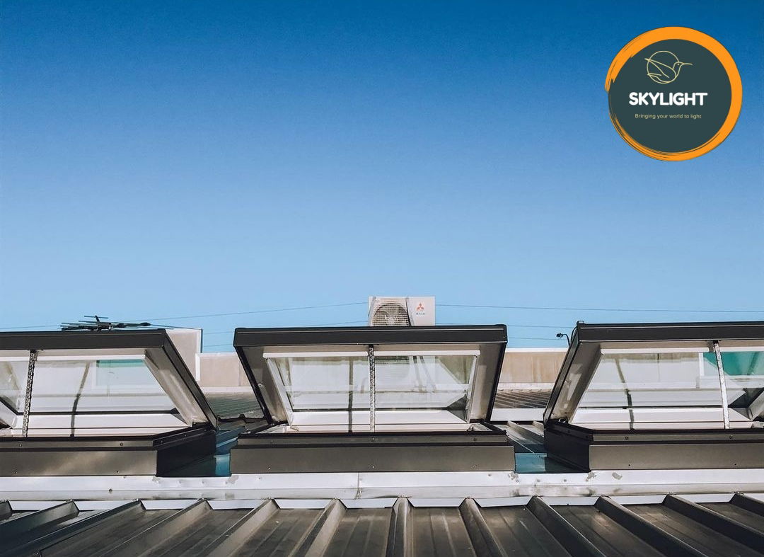 skylight pour usine