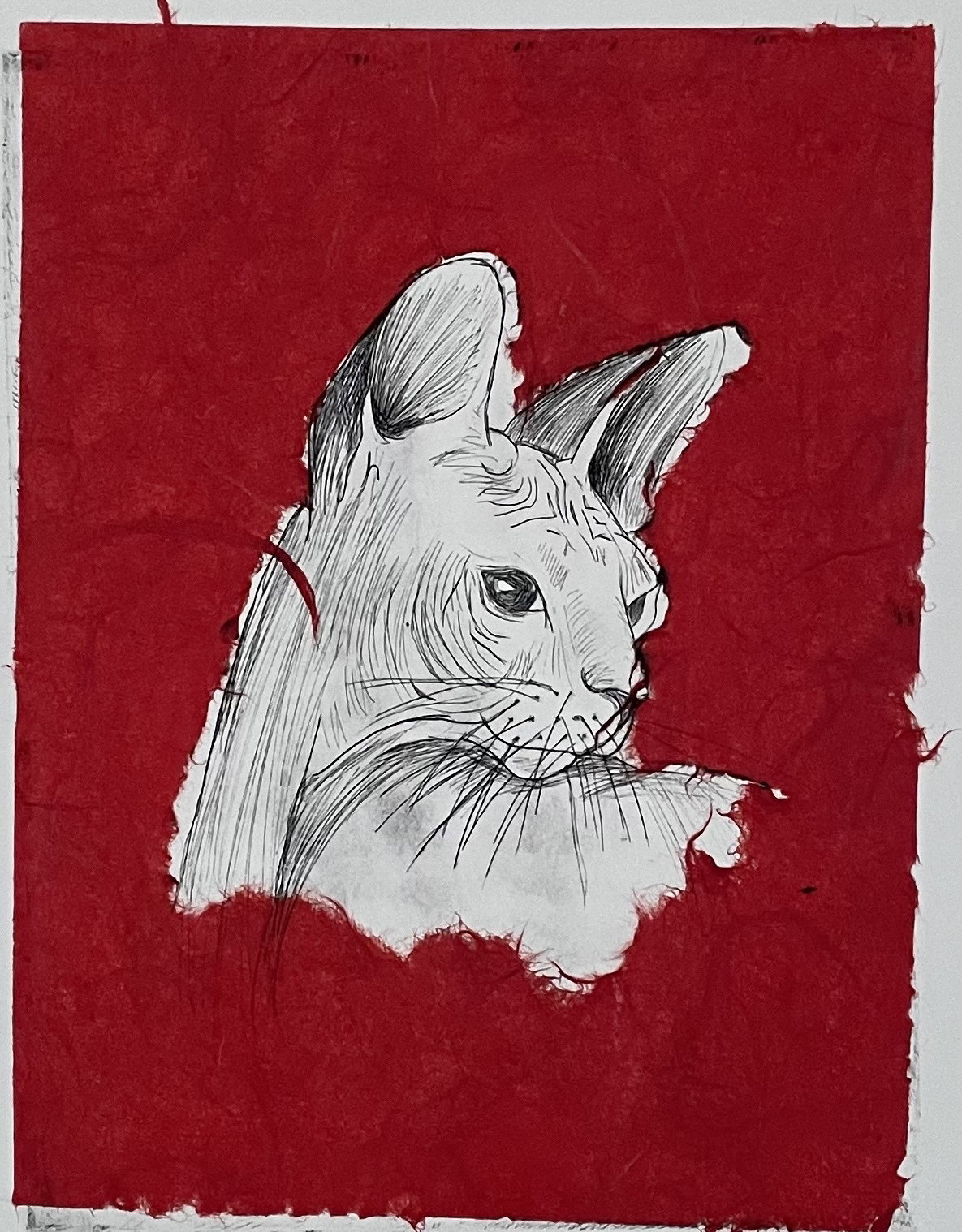 The Cat, VE, 2021