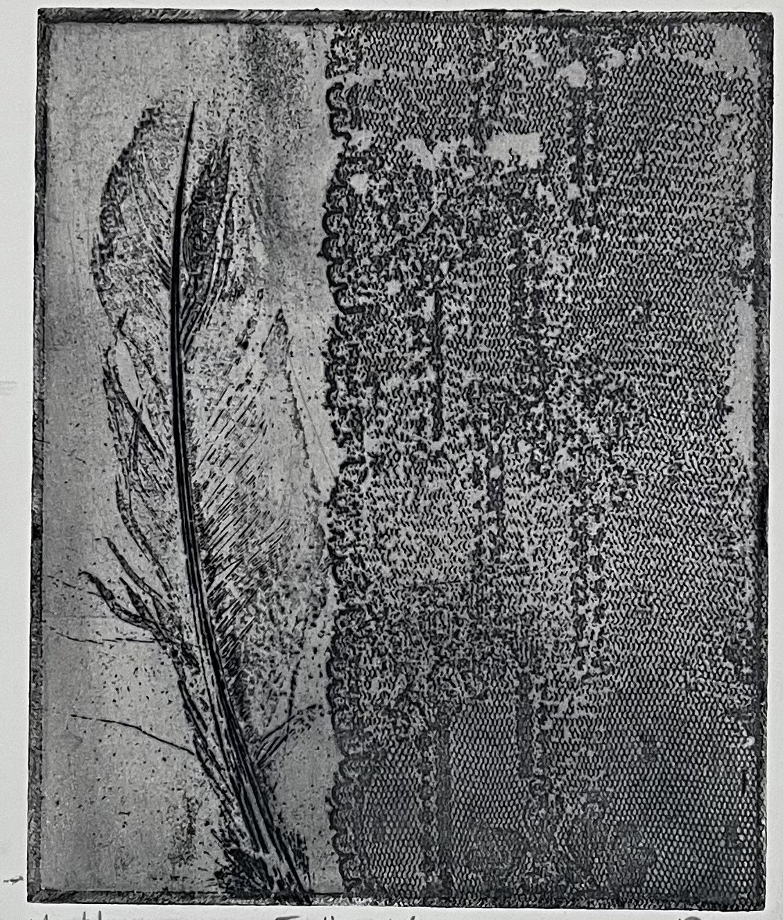 Feather & Lace, AP, 2021